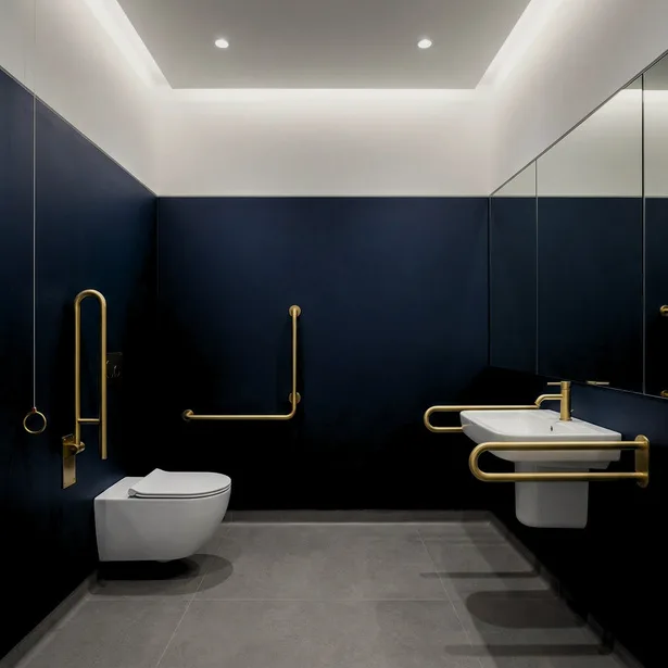 Accessible WC — Part M compliance, detailed without compromise